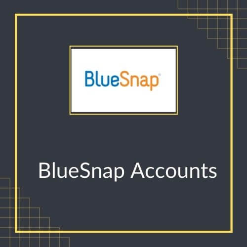 BlueSnap Accounts